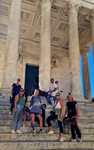 Groupe de maîtres et de chiens au cours d’une sortie
