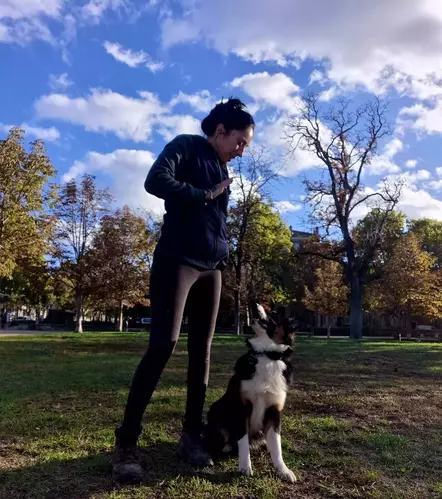 Accompagnement d’un chien pendant une séance
