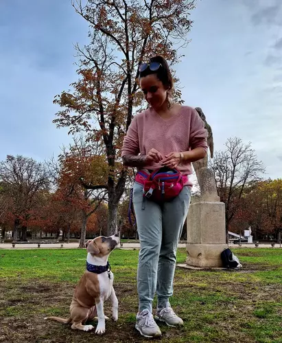 Éducation canine avec un maître et ses chiens